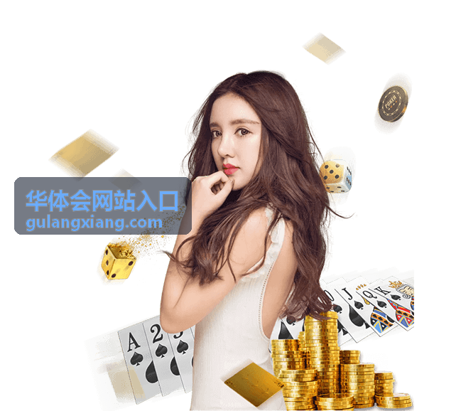 华体会网站入口登录状态与验证信息处理示意